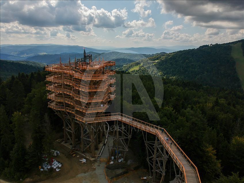 Poland's first wooden tree top observation tower