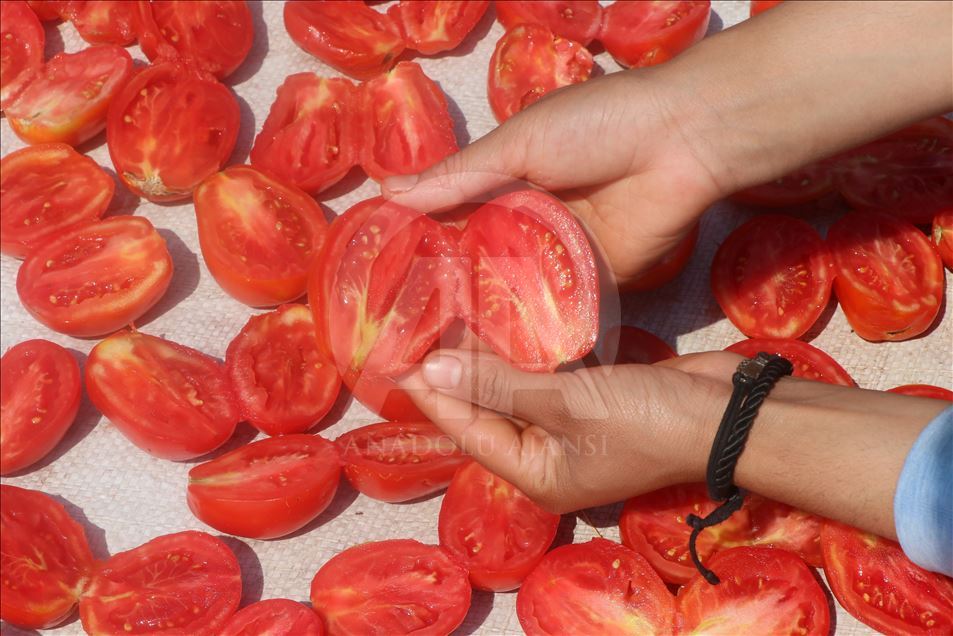 İtalyan lezzetlerine Türk domatesi