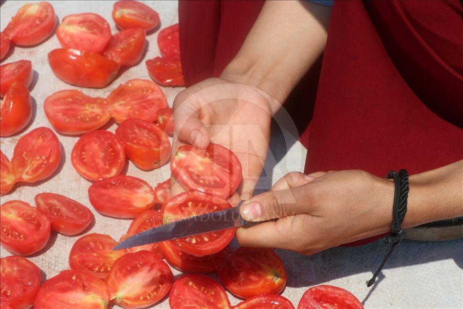 İtalyan lezzetlerine Türk domatesi