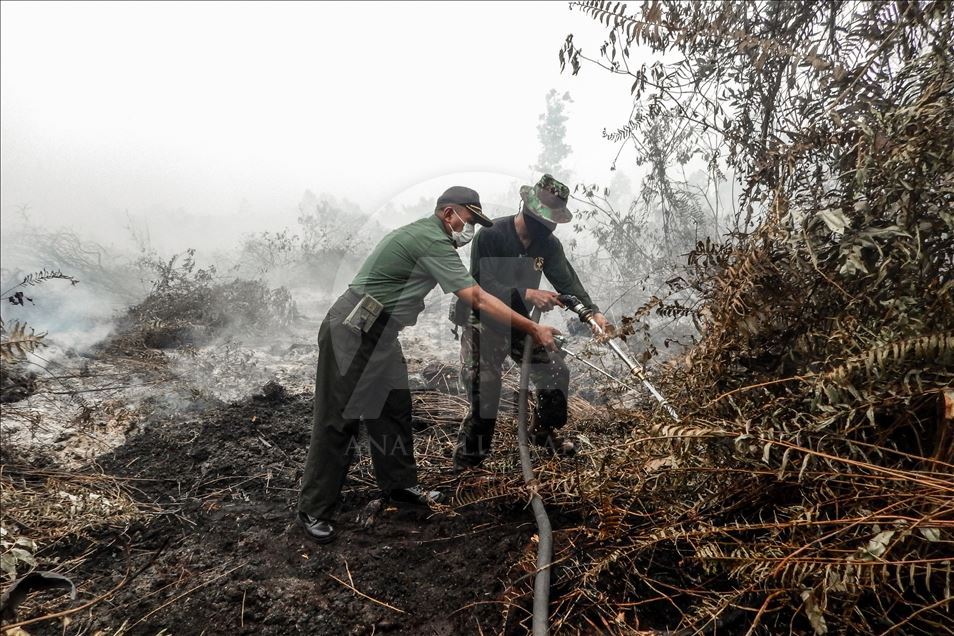 Endonezya'daki orman yangınları