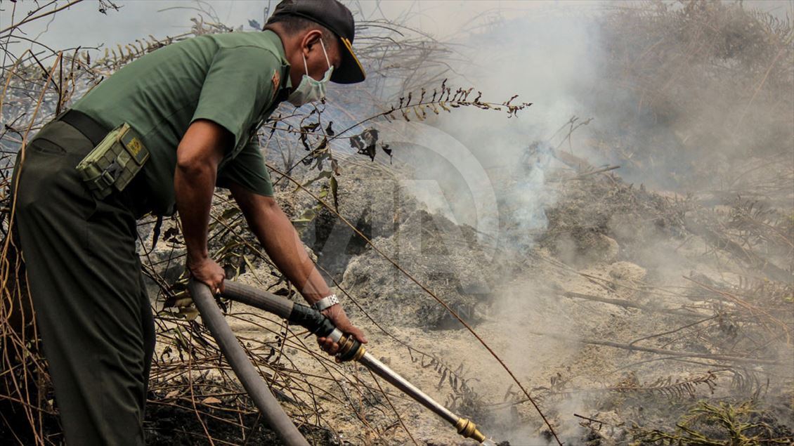 Endonezya'daki orman yangınları devam ediyor 