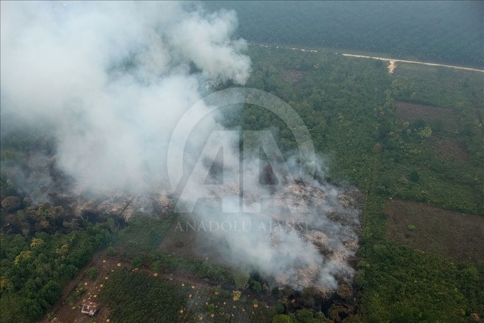 Endonezya'daki orman yangınları
