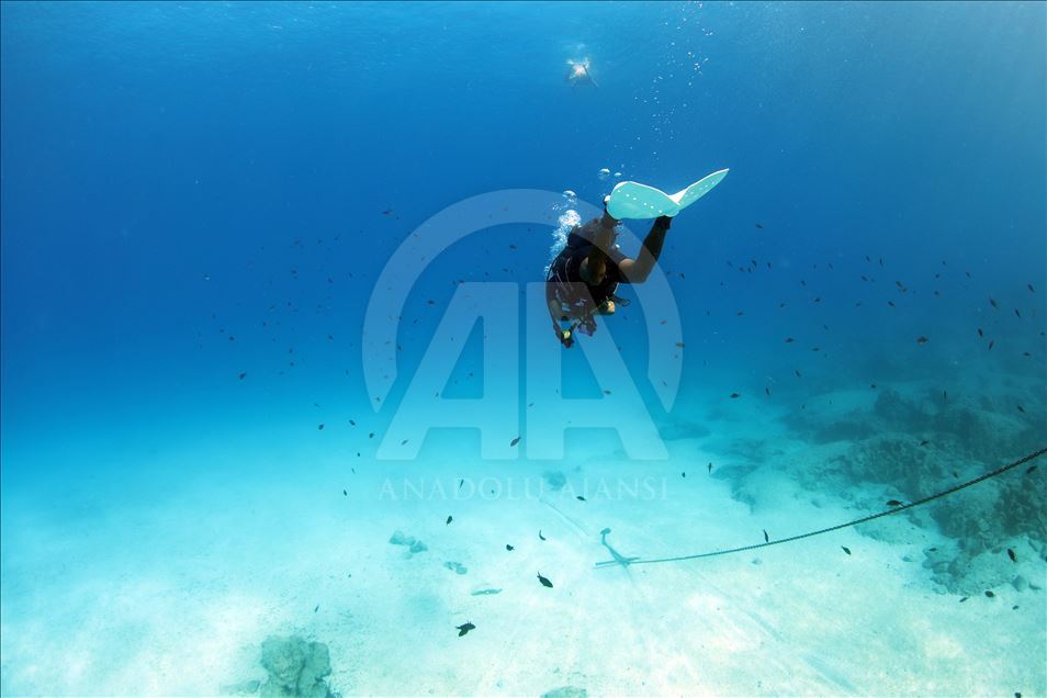 "Mavi derinliklerin kaşifleri" Kaş'ta yetişiyor