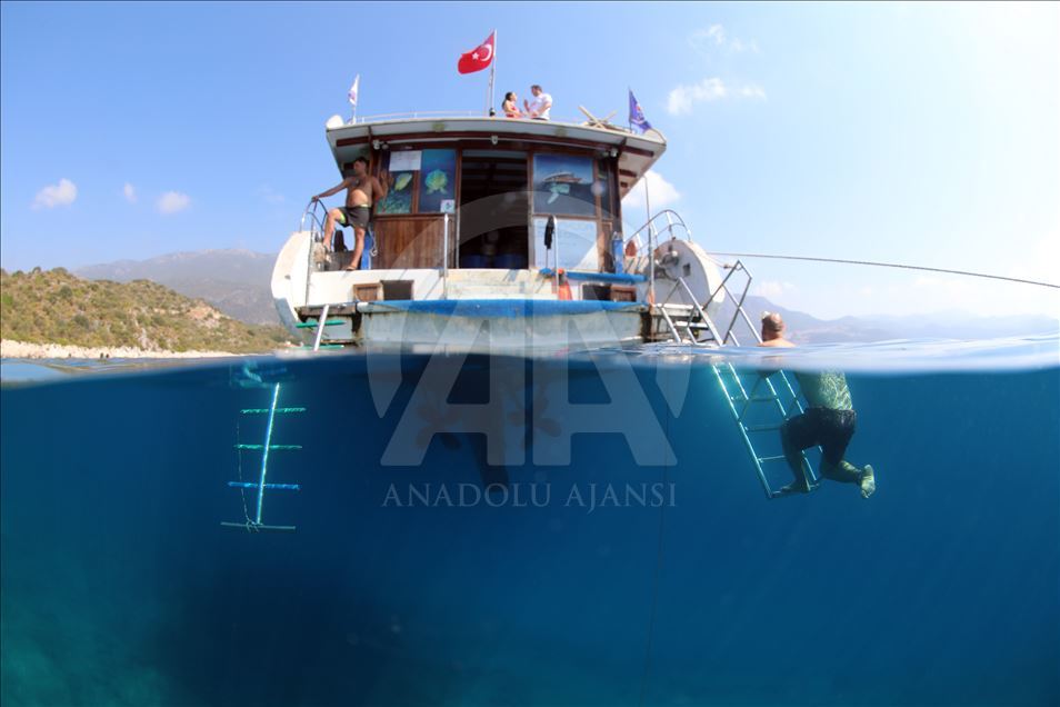 "Mavi derinliklerin kaşifleri" Kaş'ta yetişiyor