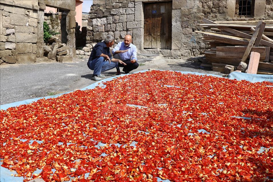 Pastırma ve sucuğun olmazsa olmazı: Cırgalan biberi