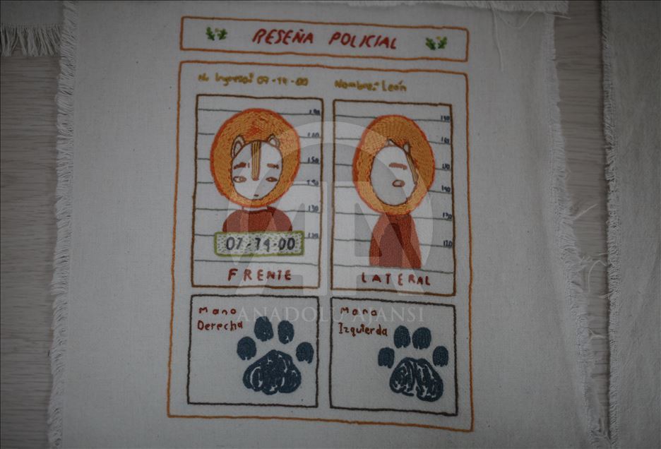 Inmates Embroidering their Stories in Colombia