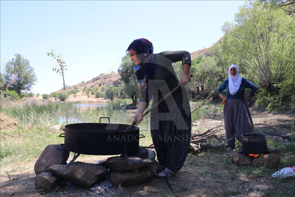 Tarladan sofraya "Ağın leblebisi"nin lezzet yolculuğu