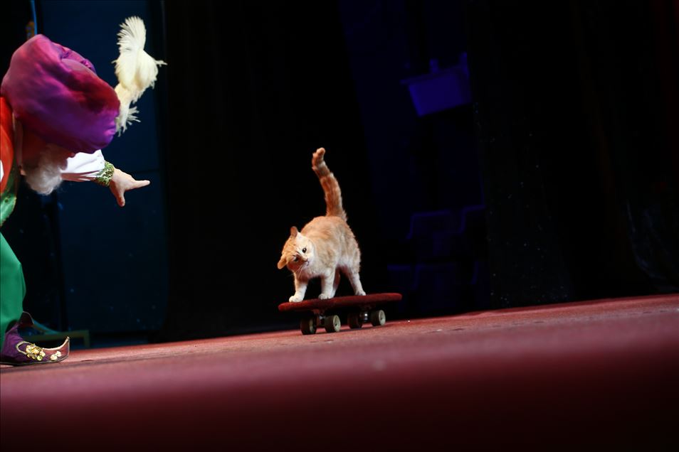 Una visita al Teatro del Gato de Moscú