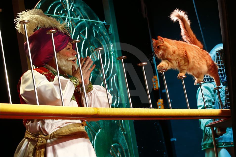 Una visita al Teatro del Gato de Moscú