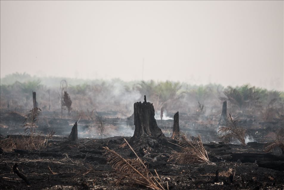 Incendio forestal en Palangkaraya, Indonesia