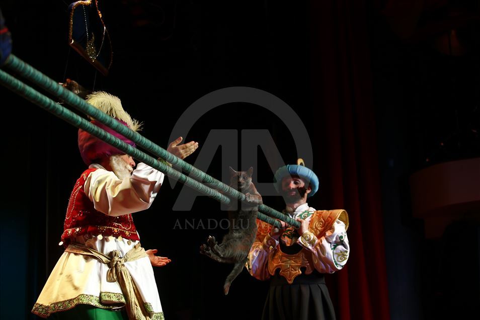 Una visita al Teatro del Gato de Moscú