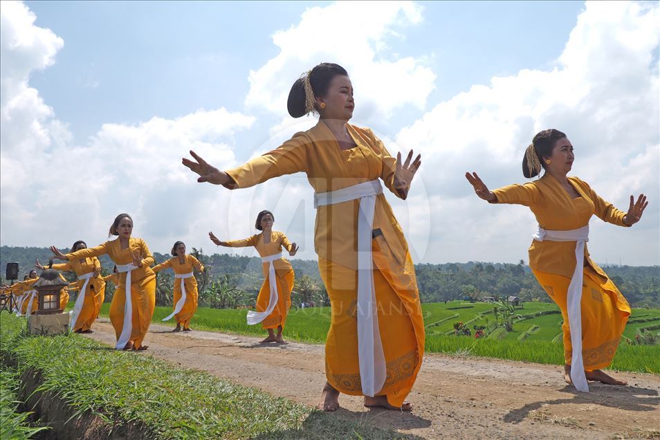 Inicia el festival Jatiluwih en Bali
