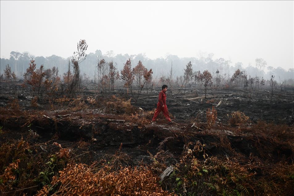 Incendio forestal en Palangkaraya, Indonesia