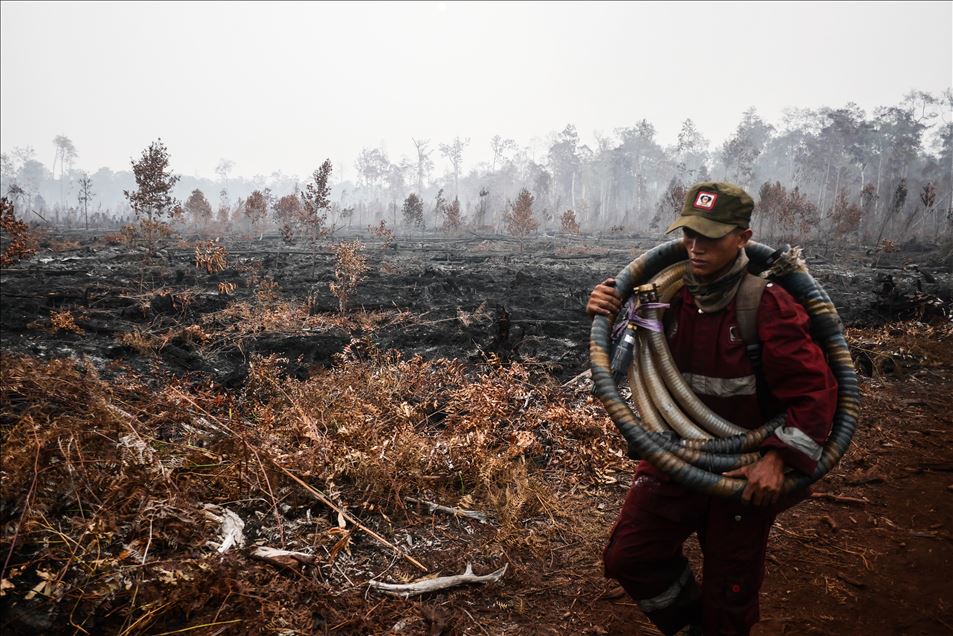 Incendio forestal en Palangkaraya, Indonesia