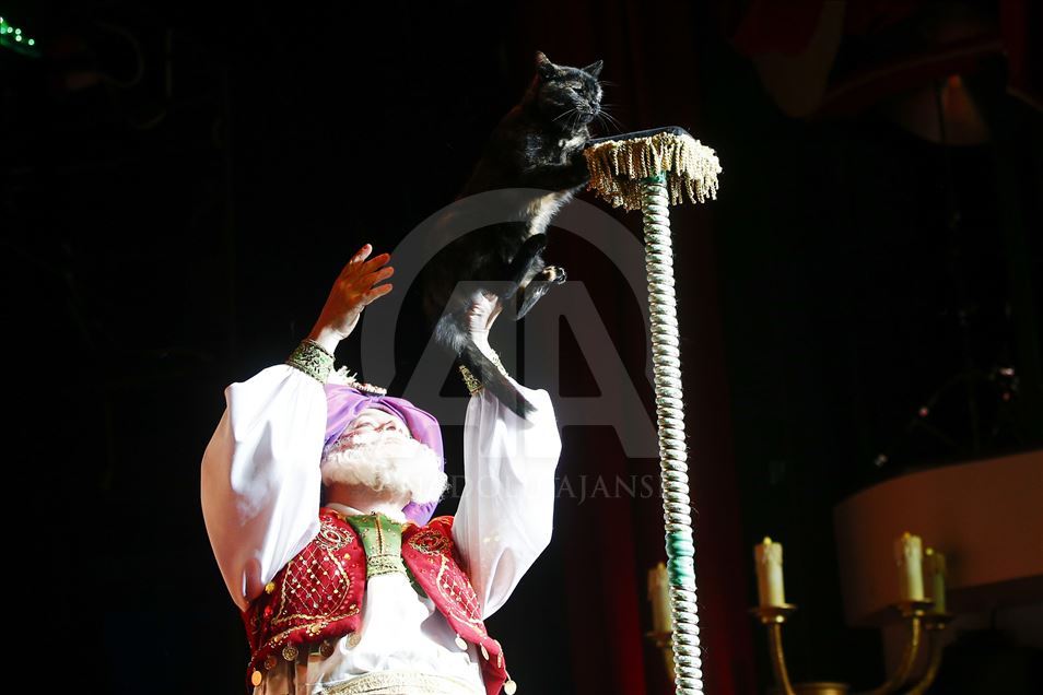 Una visita al Teatro del Gato de Moscú