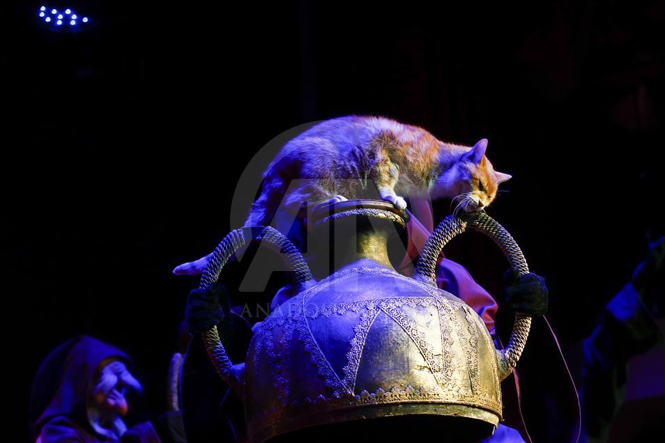 Teatri i maceve në Moskë tërheq publikun për tre dekada