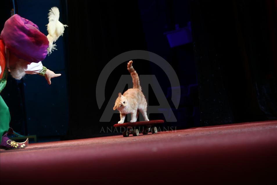 Una visita al Teatro del Gato de Moscú
