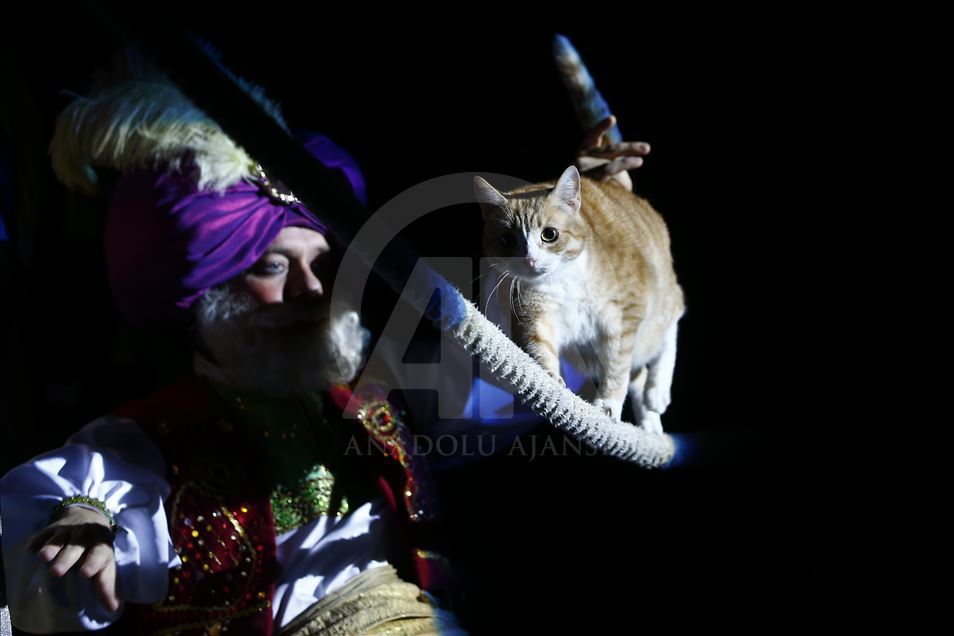 Una visita al Teatro del Gato de Moscú