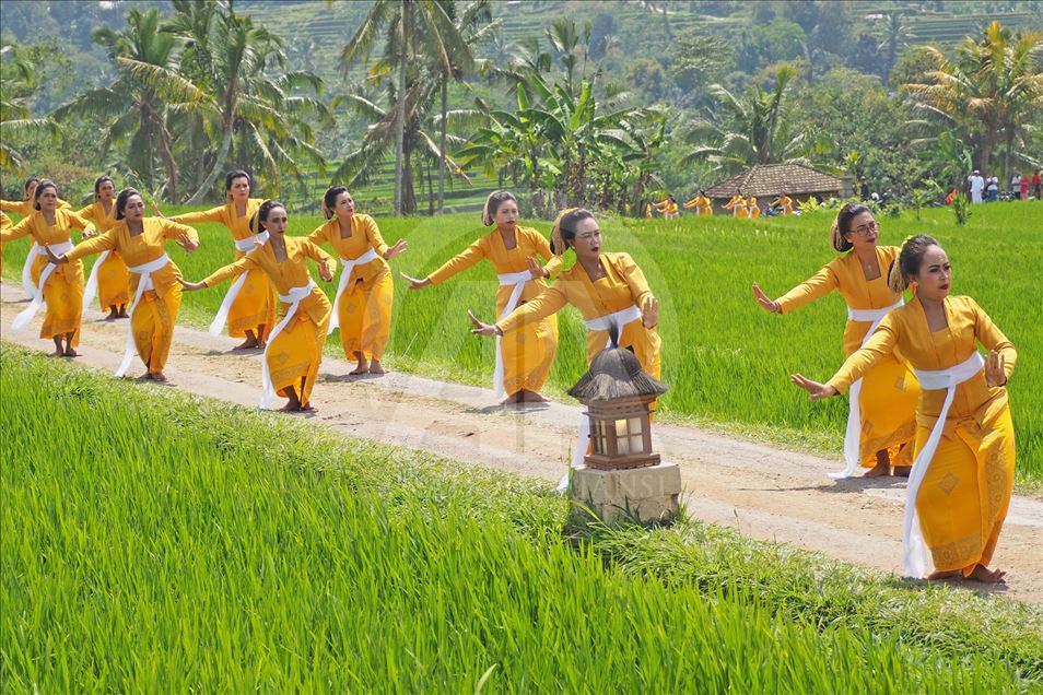 Inicia el festival Jatiluwih en Bali