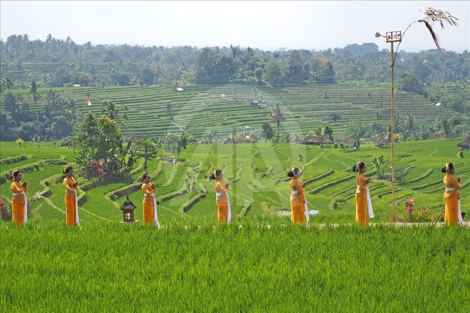 Inicia el festival Jatiluwih en Bali