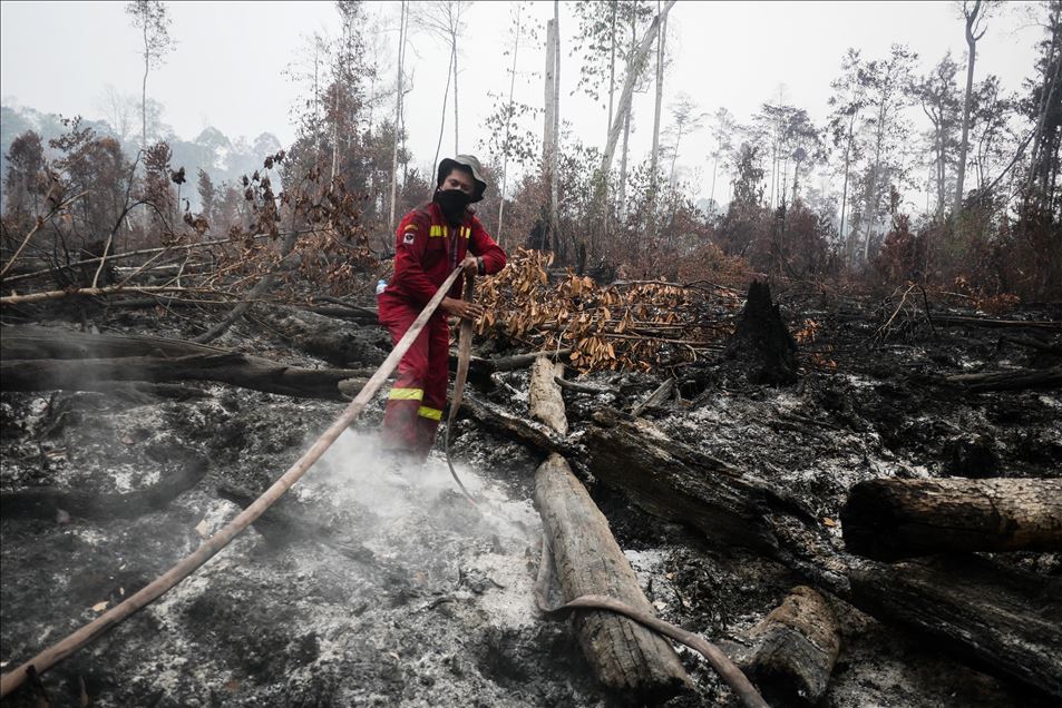Incendio forestal en Palangkaraya, Indonesia