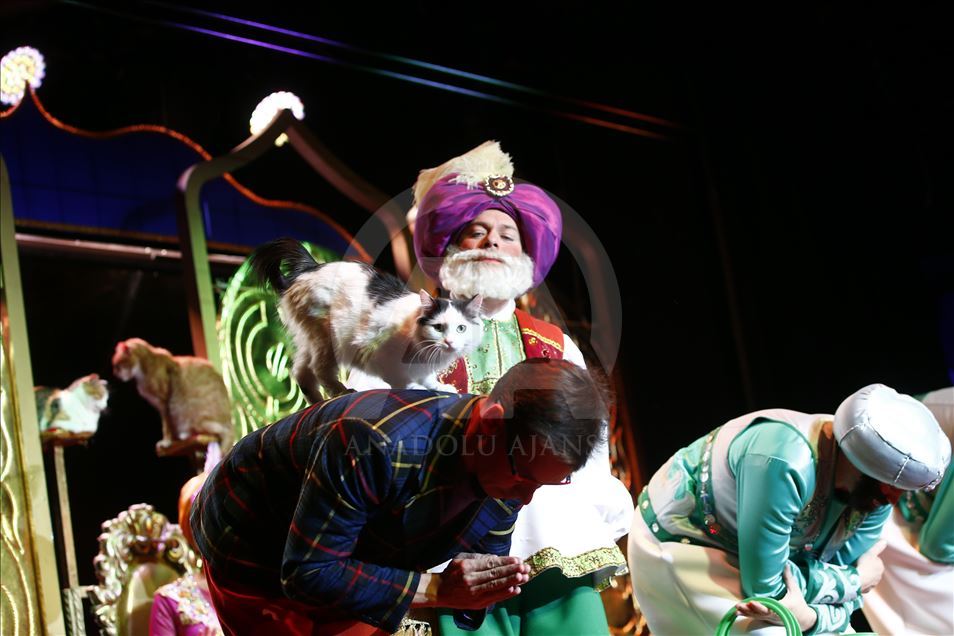 Una visita al Teatro del Gato de Moscú