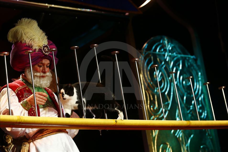 Una visita al Teatro del Gato de Moscú