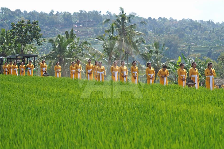 Inicia el festival Jatiluwih en Bali