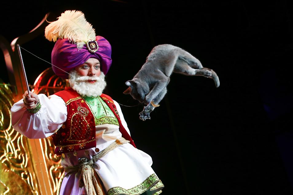 Moscow Cat Theatre invites guests
