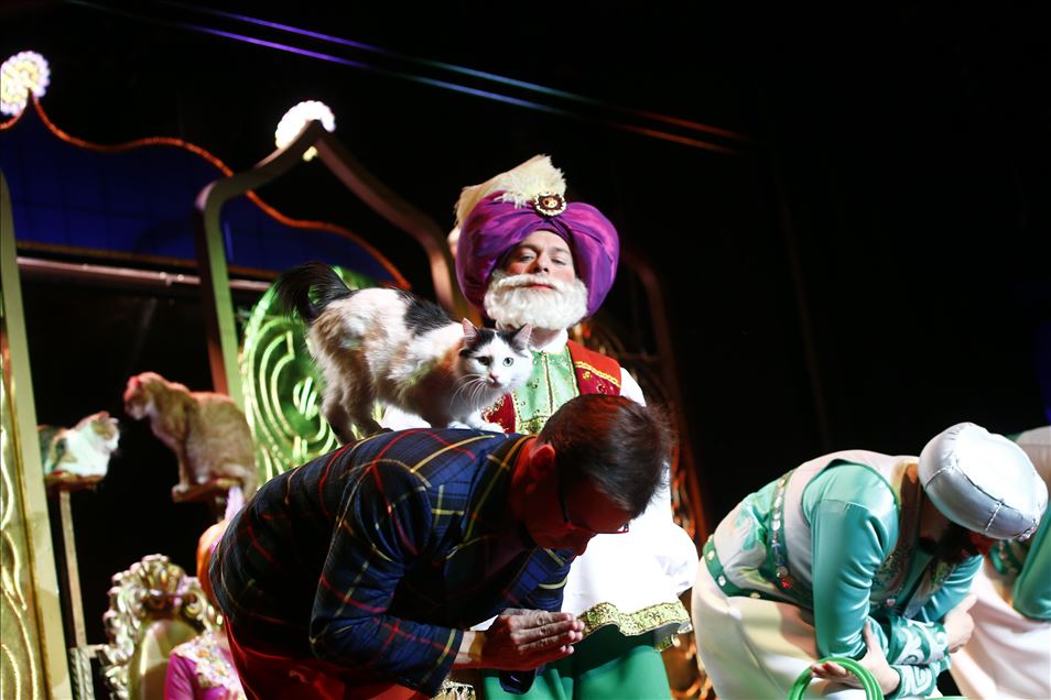 Una visita al Teatro del Gato de Moscú