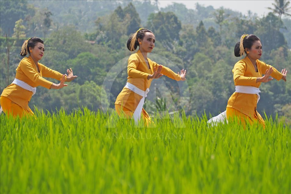 Endonezya'da Jatiluwih Festivali