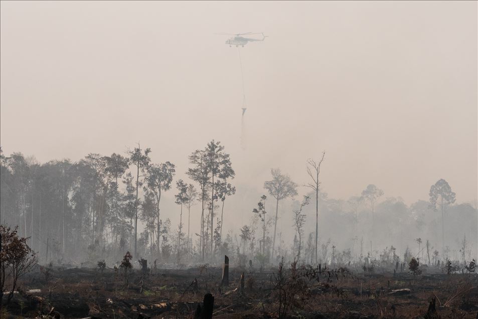 Incendio forestal en Palangkaraya, Indonesia