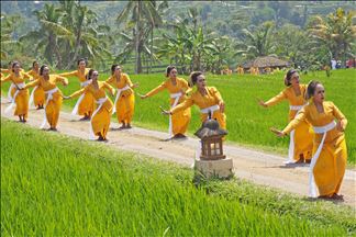 Inicia el festival Jatiluwih en Bali