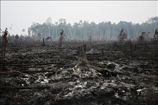 Incendio forestal en Palangkaraya, Indonesia