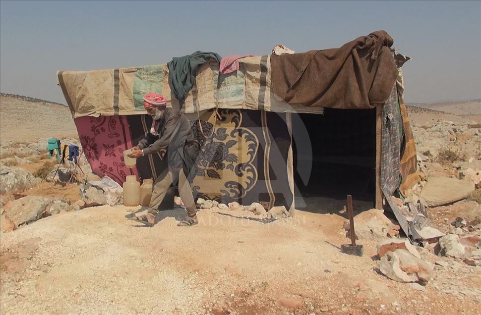 Sûriyeyiyê 72 salî keviran dişikîne û pê debara xwe dike