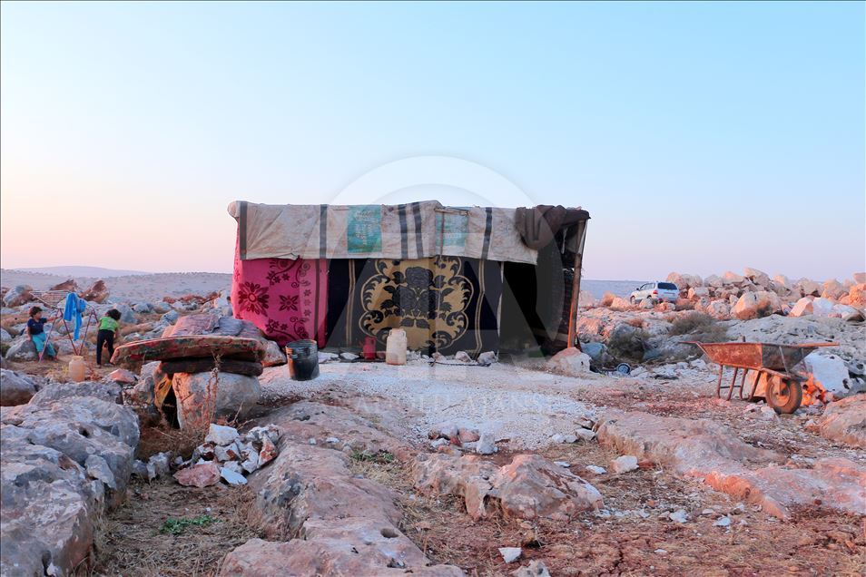 Sûriyeyiyê 72 salî keviran dişikîne û pê debara xwe dike