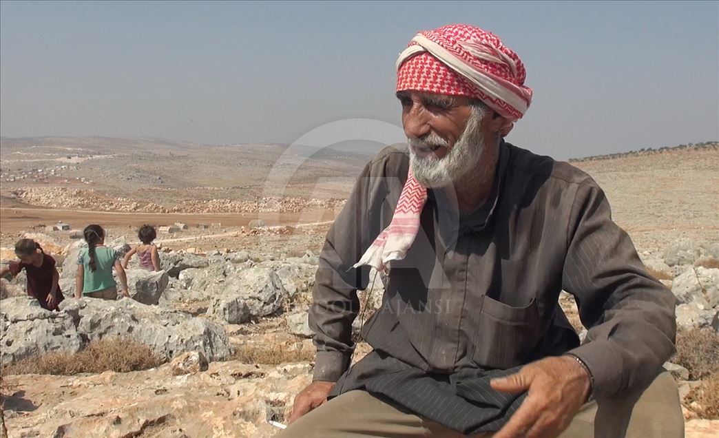 Sûriyeyiyê 72 salî keviran dişikîne û pê debara xwe dike
