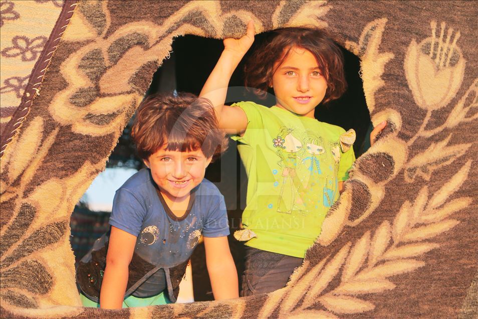 Sûriyeyiyê 72 salî keviran dişikîne û pê debara xwe dike