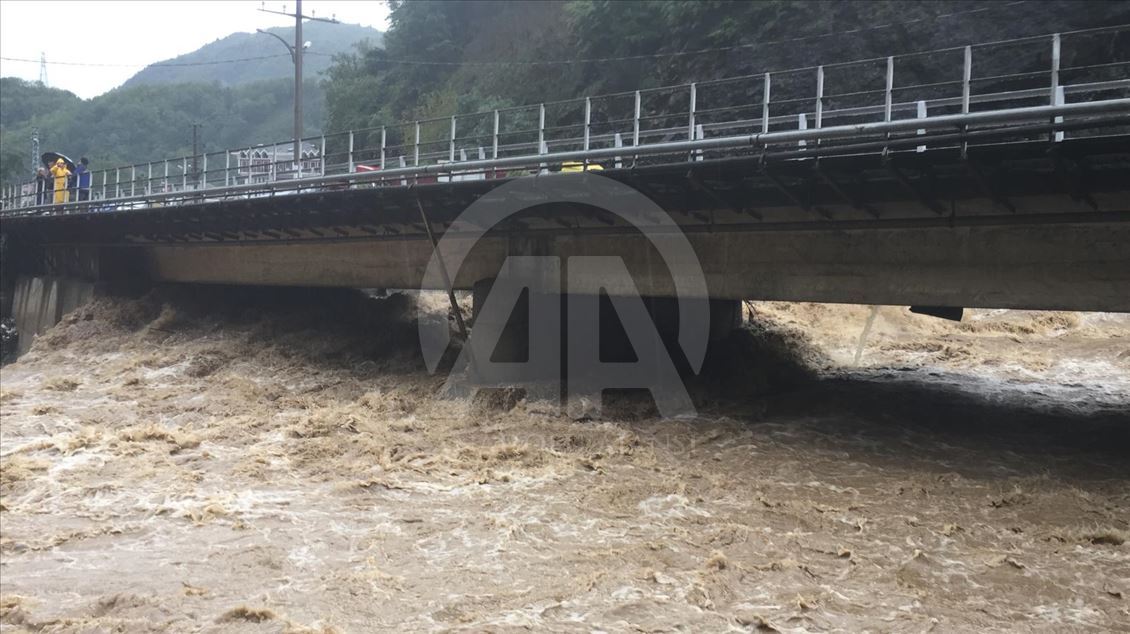 Artvin'de şiddetli yağış