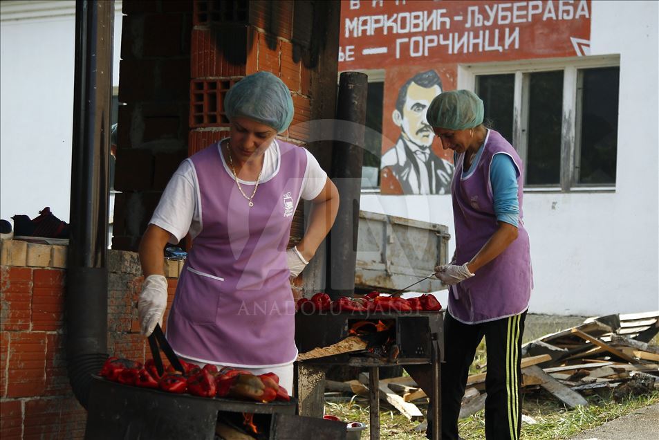 Osnovale žensku poljoprivrednu zadrugu i obezbedile sebi posao
