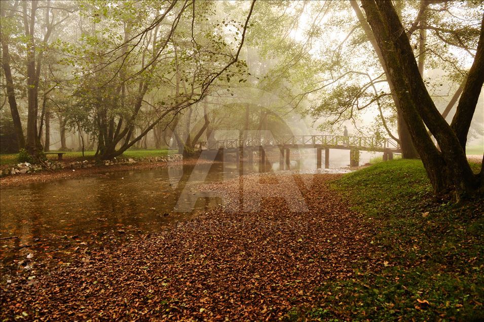 Maglovito jesenje jutro na Vrelu Bosne
