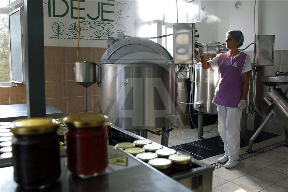 Osnovale žensku poljoprivrednu zadrugu i obezbedile sebi posao