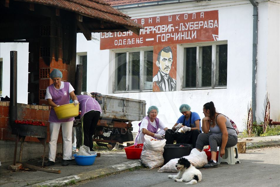 Osnovale žensku poljoprivrednu zadrugu i obezbedile sebi posao