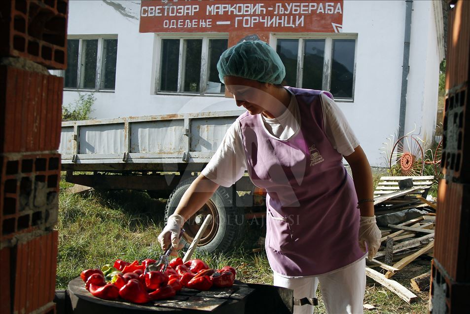 Osnovale žensku poljoprivrednu zadrugu i obezbedile sebi posao