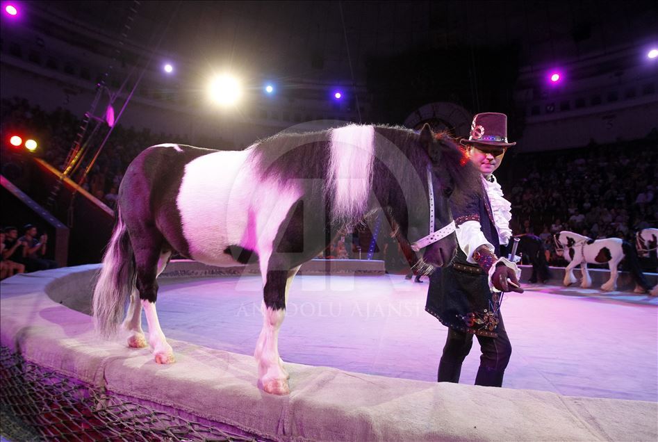 A circus show in the National Circus of Ukraine.