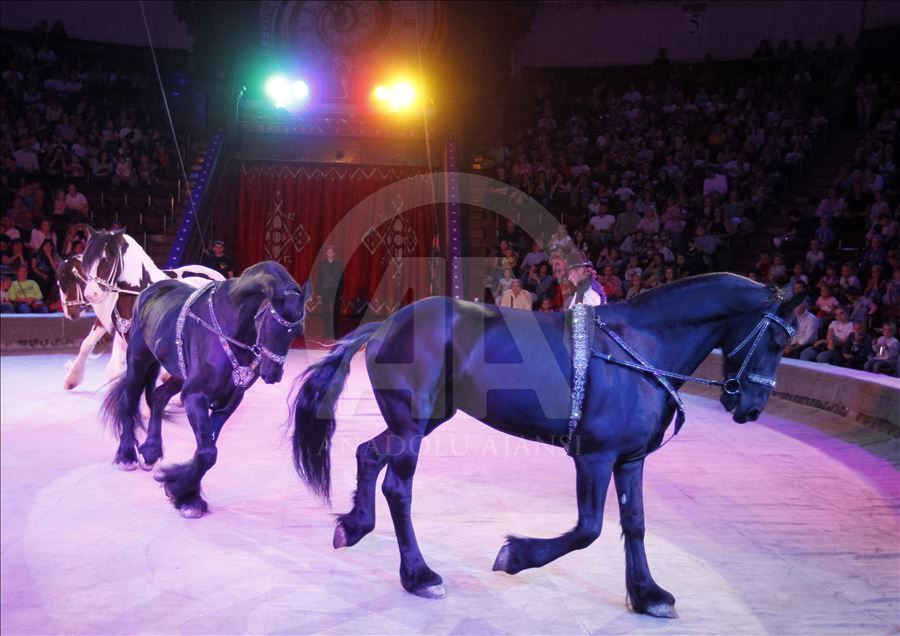 A circus show in the National Circus of Ukraine.