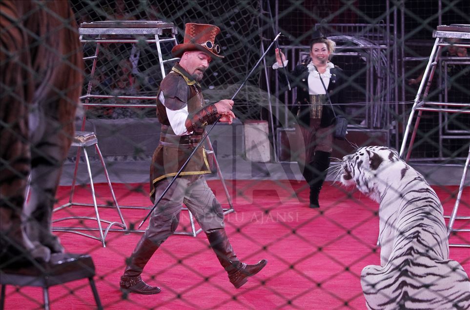 A circus show in the National Circus of Ukraine.