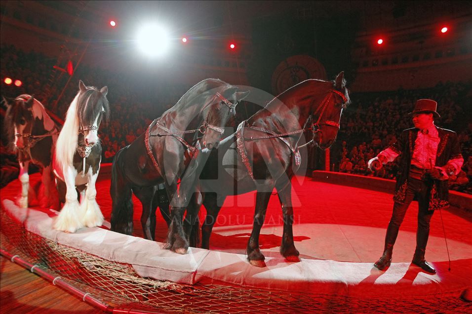 A circus show in the National Circus of Ukraine.