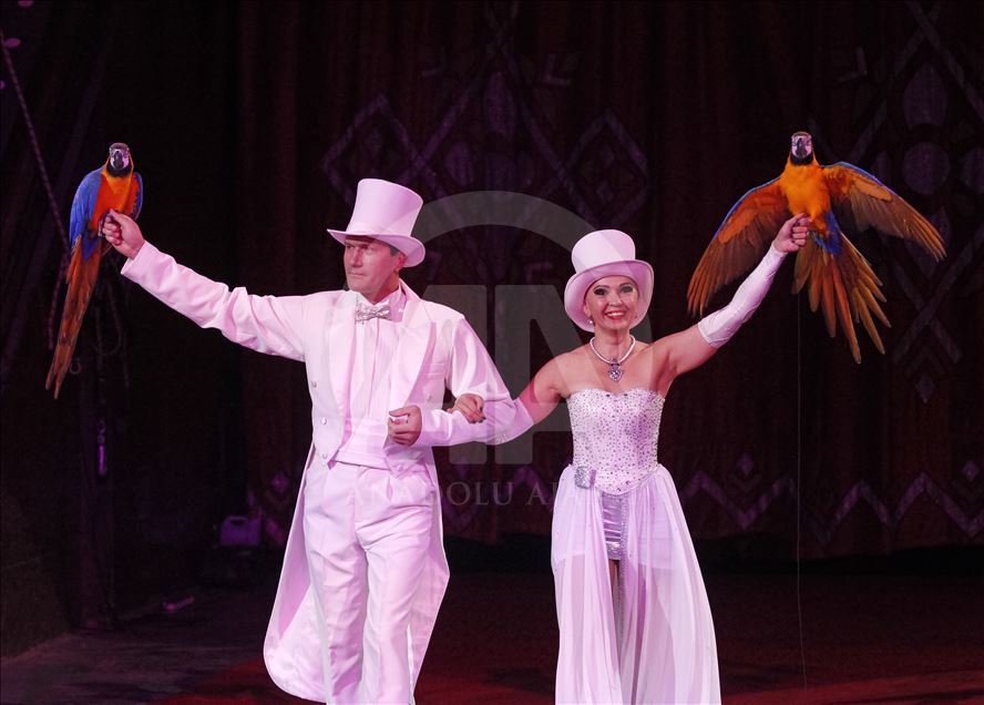 A circus show in the National Circus of Ukraine.