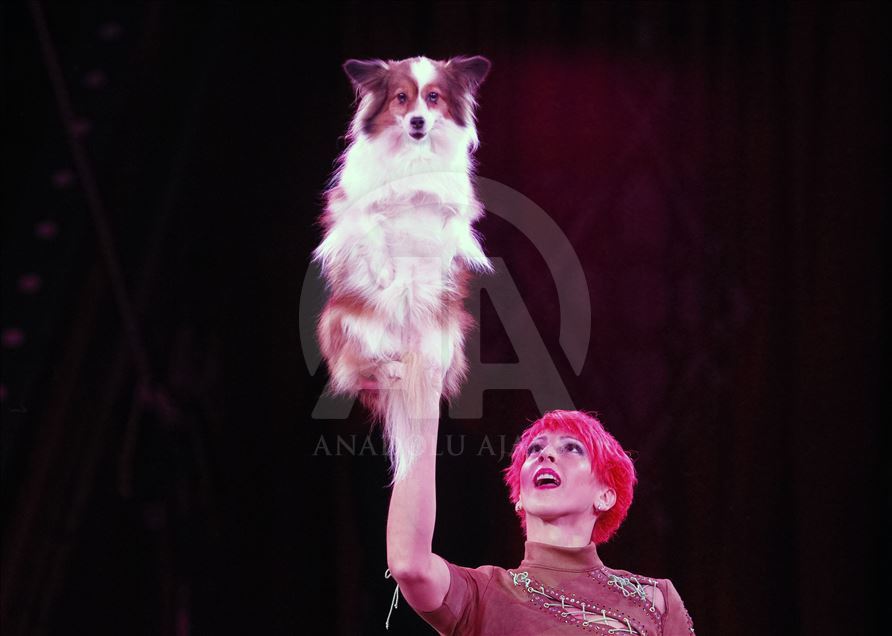 A circus show in the National Circus of Ukraine.